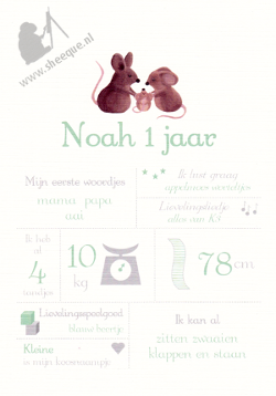 Mijlpalenposter
